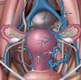 Change the structure of the vascular walls